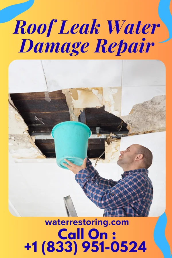 Roof Leak Water Damage Repair in Clappertown, PA