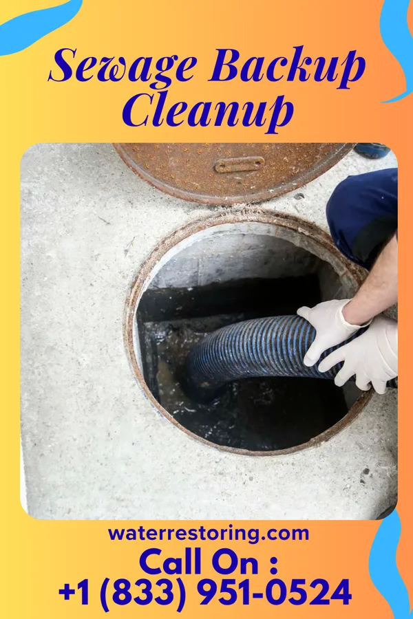 Sewage Backup Cleanup in Clappertown, PA